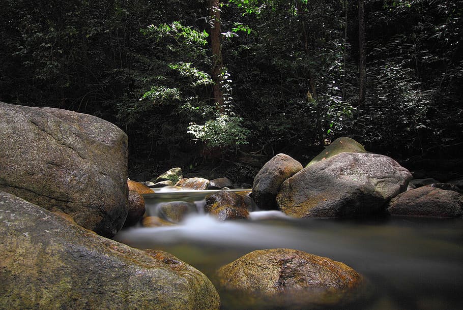 foto de lapse de temps, mini cascades, boulder, la llum del dia, paisatge, naturalesa, relaxant, roques, escènic, pedra, corrent, tranquil, arbres, aigua, cascada, rock, rock - object, arbre, sòlid, planta, bosc, bellesa a la natura, tranquil·litat, terra, dia, escenics - natura, cap gent, escena no urbana, creixement, escena tranquil·la, a l'aire lliure, remot, que flueix, aigua que flueix, rierol: aigua que flueix, selva tropical, 1080P