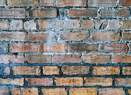 brun mur, mursten, væg, Stenmur, mos, plante, nedrivning, blomst, geranium, blomstre, tag, vin, gangbro, sti, alger, krikand, rust, brosten, fortov, vener, murstens væg, baggrunde, fuld ramme, tekstureret, mønster, murbygningsfunktion, arkitektur, bygget struktur, ingen mennesker, gammel, rød, forvitret, gentagelse, tæt på, i en række, udendørs, ru, bygning udvendig, tekstureret effekt, 2K, CC0, offentligt domæne, royaltyfrie