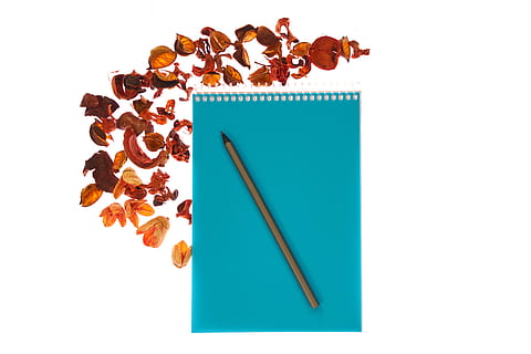 notebook, pen, page, is empty, to write, the draw, article, the work, study, office, paper, author, document, school, course, background, white, insulating, note, blue, flowers, decor, design, macro, desktop, white background, no people, indoors, studio shot, copy space, brown, art and craft, creativity, still life, food and drink, food, close-up, high angle view, writing instrument, pencil, cut out, craft, variation, multi colored, 5K, CC0, public domain, royalty free