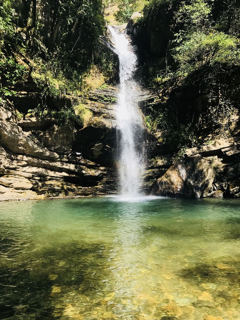 Indie, uttarakhand, woda, scenics - natura, piękno natury, ruch, wodospad, drzewo, las, Płynąca woda, Natura, długa ekspozycja, żadnych ludzi, dzień, wylądować, roślina, scena pozamiejska, spokój, skała, solidny, na dworze, płynący, moc w naturze, Spadająca woda, 4K