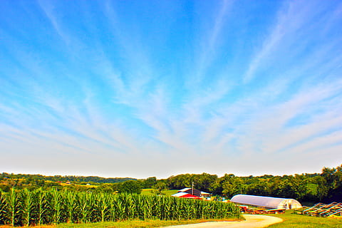 himmel, skyer, majs, majs felt, Mark, gård, landbrug, landdistrikterne, drivhus, grøn, blå, mønster, traktor, udstyr, rød, lade, træer, grus, grusvej, sky - himmel, miljø, landskab, plante, landlige scene, jord, græs, natur, ingen mennesker, scenics - natur, multi farvet, grøn farve, udendørs, sollys, hus, 5K, CC0, offentligt domæne, royaltyfrie