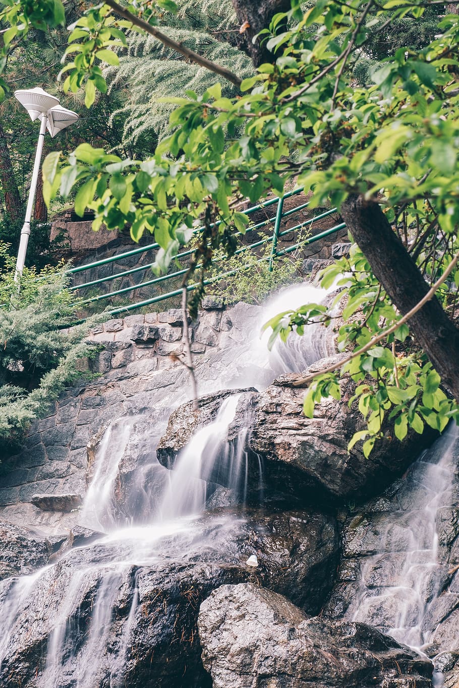arbre, tehran, naturalesa, verd, cascada, parc jamshidieh, aigua, planta, aigua que flueix, exposició llarga, moviment, escenics - natura, bellesa a la natura, bosc, terra, cap gent, rock, medi ambient, que flueix, moviment borrós, dia, rock - object, caient aigua, poder a la natura, a l'aire lliure, selva tropical, 4K