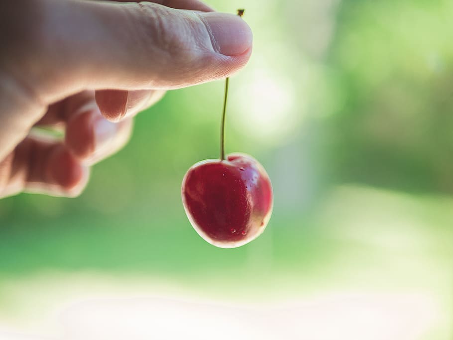 Kirsche, verwischen, Grün, Hintergrund, halten, Obst, Lebensmittel, Hand, Fokus, menschliches Körperteil, menschliche Hand, gesundes Essen, Essen und Trinken, Nahansicht, Wohlbefinden, Frische, eine Person, Fokus auf den Vordergrund, Körperteil, gesunder Lebensstil, draußen, Tag, Apfel - Frucht, Finger, reif, Mund offen, Versuchung, 2K