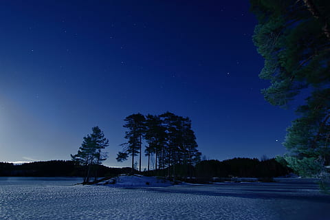 pini, albastru, cer, natură, în aer liber, astronomie, univers, noapte, spațiul cosmic, spaţiu, cer înstelat, Aurskog-Holand, Norge, teren, mare, apă, ocean, plantă, copac, røytjern, lumina lunii, Bjørkelangen, tapet, stea - spațiu, frumusețe în natură, scenice - natura, zăpadă, liniște, iarnă, nici o persoana, o scenă liniștită, temperatura rece, iluminat, 5K, CC0, domeniu public, fără drepturi de autor