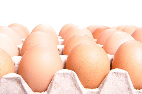 ouă, cutie, ou, izolat, proteină, alimente, maro, de mai sus, brut, pachet, cutie de carton, dietă, alb, proaspăt, vedere, top, recipient, sănătos, pui, fragil, nefierte, eggshell, natură, organic, mancare si bautura, prospeţime, bunăstare, natură moartă, mâncat sănătos, a închide, nici o persoana, fundal alb, fragilitate, grup mare de obiecte, vulnerabilitate, în interior, mancare cruda, cofraj de oua, aranjament, consecutiv, studio shot, 2K, CC0, domeniu public, fără drepturi de autor