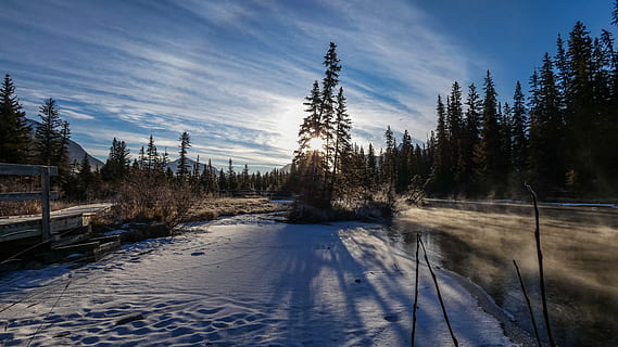 Schnee, Baum, Pflanze, Tanne, abies, Nadelbaum, Natur, Wasser, draußen, Eis, Pfad, Kiefer, Hintergrund, draussen, Bäume, kalt, Bach, Wandern, canmore, Dampf, Himmel, Winter, kalte Temperatur, Ruhe, ruhige Szene, keine Leute, Szenen - Natur, Schönheit in der Natur, wolke - himmel, Land, Nicht-städtische Szene, Tag, Sonnenlicht, Schatten, 4K, CC0, gemeinfrei, lizenzfrei
