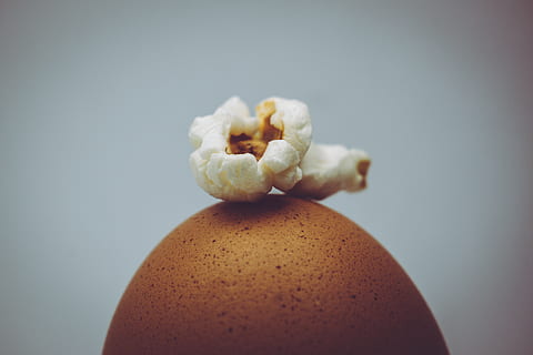 kogte popcorn, studio skud, mad og drikke, mad, tæt på, indendørs, friskhed, sund kost, ingen mennesker, stilleben, velvære, grøntsag, enkelt objekt, frugt, farvet baggrund, fokus på forgrunden, bord, skåret ud, ingrediens, hvid baggrund, grå baggrund, fristelse, 5K, CC0, offentligt domæne, royaltyfrie