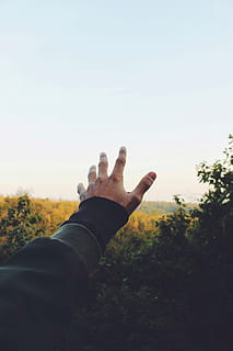 man, raising, hand, macro, reaching, human hand, human body part, sky, personal perspective, one person, real people, nature, body part, clear sky, finger, plant, human finger, day, tree, unrecognizable person, outdoors, lifestyles, copy space, human limb, 5K, CC0, public domain, royalty free