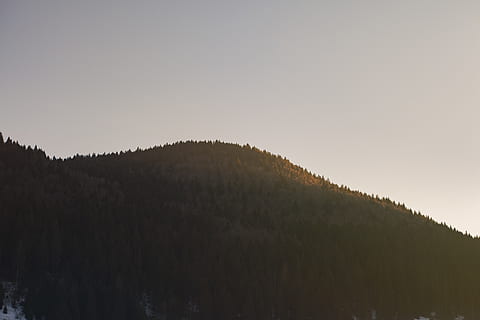 billede af bjerget, daggry, dagslys, miljø, Skov, landskab, bjerg, natur, træer, himmel, træ, ro, rolig scene, skønhed i naturen, plante, scenics - natur, skyfri himmel, ingen mennesker, solnedgang, vækst, ikke-urbane scene, kopiere plads, silhuet, jord, udendørs, 5K, CC0, offentligt domæne, royaltyfrie