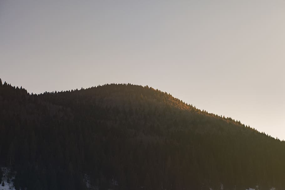 billede af bjerget, daggry, dagslys, miljø, Skov, landskab, bjerg, natur, træer, himmel, træ, ro, rolig scene, skønhed i naturen, plante, scenics - natur, skyfri himmel, ingen mennesker, solnedgang, vækst, ikke-urbane scene, kopiere plads, silhuet, jord, udendørs, 5K