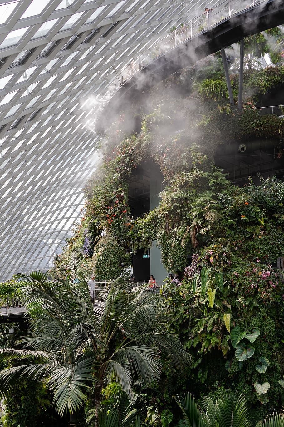 Singapur, wolkenwald, Pflanze, Baum, Wachstum, die Architektur, gebaute Struktur, Natur, Gebäudehülle, Tag, keine Leute, grüne Farbe, draußen, Blatt, tropisches Klima, Schönheit in der Natur, Pflanzenteil, Palme, Sonnenlicht, Flachwinkelansicht, Stadt, Gebäude, 5K