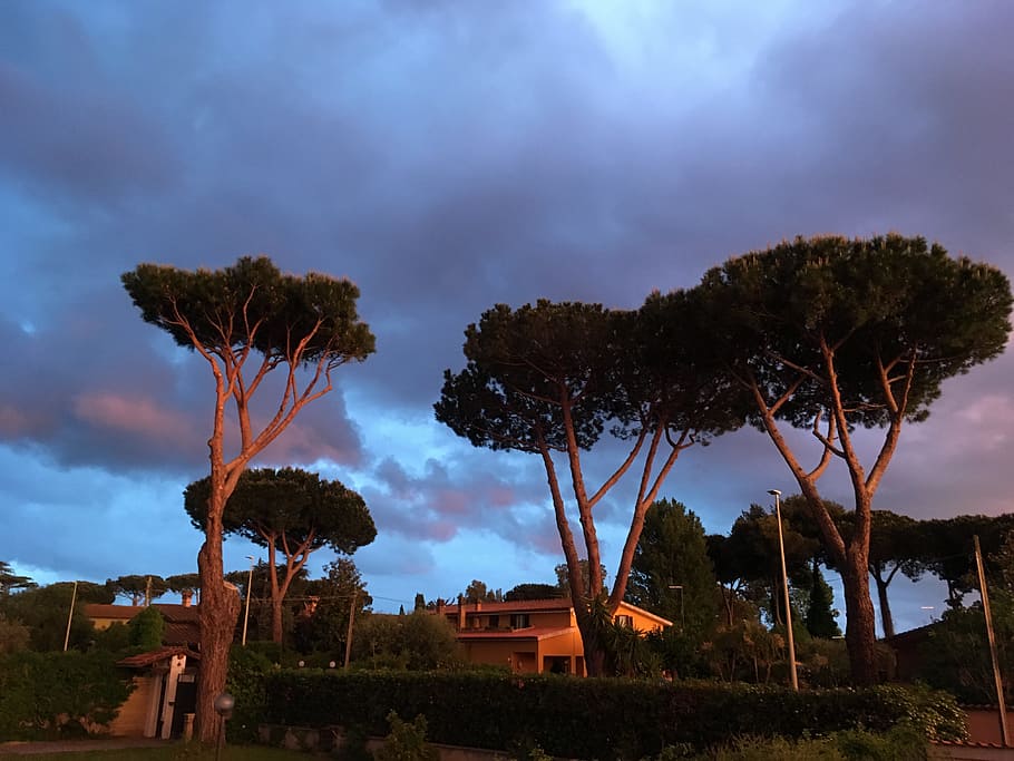 calcestruzzo, case, circondato, alberi, retroilluminato, nuvole, colori, luce del giorno, Casa, paesaggio, natura, all'aperto, piante, cielo, albero, pianta, nuvola - cielo, bellezza nella natura, crescita, nessuno, terra, la tranquillità, scena tranquilla, ambiente, scenics - natura, campo, architettura, scena non urbana, giorno, idilliaco, infausto, 4K