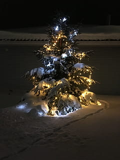 Nadal, il·luminat, celebració, nit, cap gent, festa, decoració de Nadal, llums de Nadal, terra, arbre, decoració, arbre de Nadal, naturalesa, temperatura de fred, neu, brillant, vacances - esdeveniment, esdeveniment de celebració, llum, 4K, CC0, domini públic, lliure de regalies