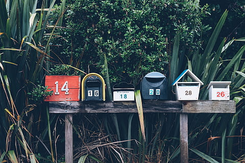 Postfächer, zahlen, Pflanzen, Pflanze, Kommunikation, Text, Briefkasten, Natur, Tag, mail, keine Leute, westliche Schrift, draußen, Baum, Wachstum, öffentliches Postfach, Container, Korrespondenz, Zeichen, grüne Farbe, Nummer, Brief, Kraftstoff- und Stromerzeugung, Netzteil, 5K, CC0, gemeinfrei, lizenzfrei