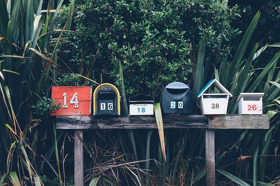 Postfächer, zahlen, Pflanzen, Pflanze, Kommunikation, Text, Briefkasten, Natur, Tag, mail, keine Leute, westliche Schrift, draußen, Baum, Wachstum, öffentliches Postfach, Container, Korrespondenz, Zeichen, grüne Farbe, Nummer, Brief, Kraftstoff- und Stromerzeugung, Netzteil, 5K