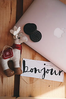 portàtil, mac, poma, ordinador, animal, escriure, publicació, paper, targeta, oreo, cookies, menjar, dolços, rens, escriptori, text, a l'interior, guió occidental, comunicació, natura morta, material de fusta, creativitat, cap gent, art i artesania, taula, forma del cor, primer pla, directament a sobre, vista d’angle alt, representació, emoció, emoció positiva, marró, amor, 5K, CC0, domini públic, lliure de regalies