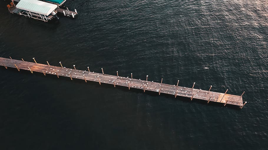 moll a l’oceà, aigua, moll, davant del mar, port, parc d’arnolds, Estats Units, a l'aire lliure, riu, oceà, vaixell, animal, ocell, estiu, okoboji, blau, dji, gavines, viatjar, onades, vista d’angle alt, transport, naturalesa, mar, vaixell nàutic, cap gent, dia, manera de transport, estructura construïda, bellesa a la natura, arquitectura, moviment, 4K