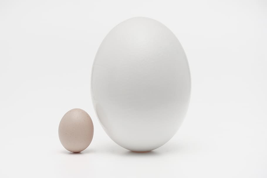 dos ous orgànics, ou, menjar, ou de Pasqua, pastilla, medicació, oval, fons de pantalla, geomètric, germans, blanc, el petit i el gran, ous, porcellana, art, ceràmica, culinari, sucre, mel, bresca, maionesa, tir de l'estudi, fons blanc, menjar i beguda, primer pla, Color blanc, cap gent, alimentació saludable, sol objecte, ous d’animals, tallar, a l'interior, còpia espai, benestar, aliments crus, vulnerabilitat, natura morta, fragilitat, frescor, esmorzar, 4K