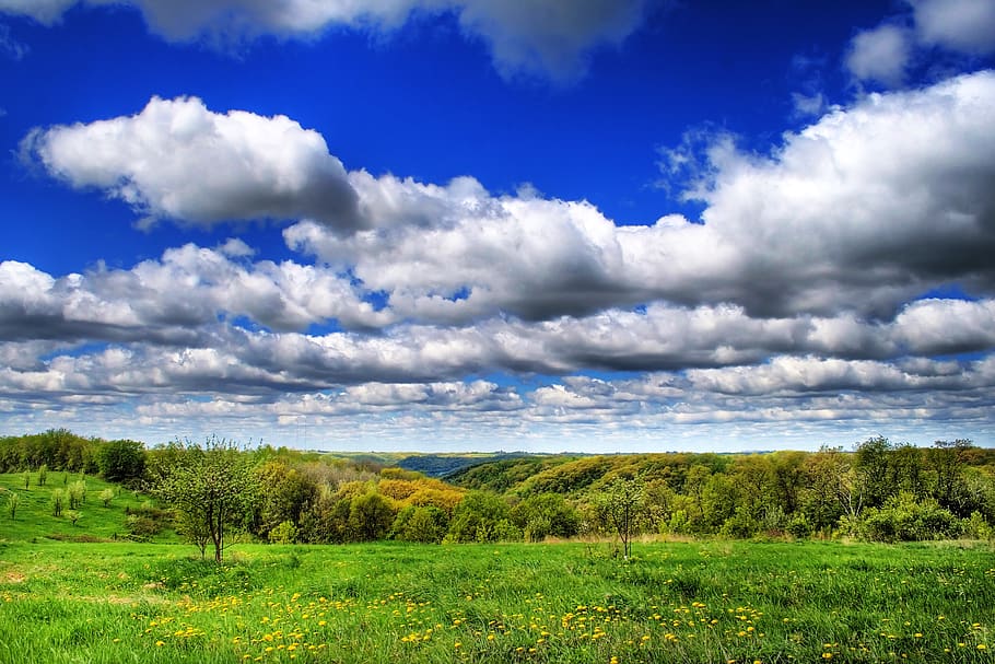 nuvole, bluff, paesaggio, cielo, natura, scogliera, panoramico, viaggio, vacanze, atmosferico, pianta, nuvola - cielo, erba, scenics - natura, ambiente, bellezza nella natura, albero, scena tranquilla, colore verde, la tranquillità, terra, campo, nessuno, giorno, scena non urbana, crescita, acqua, all'aperto, 2K