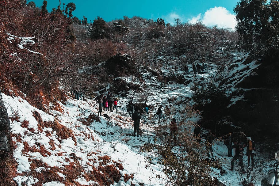 gent, caminar, verd, arbres de fulles, blanc, núvols, durant el dia, escalar, fred, la llum del dia, medi ambient, grup, senderisme, paisatge, muntanya, naturalesa, a l'aire lliure, roques, escènic, neu, arbres, trekking, temps, hivern, imatges de domini públic, arbre, planta, temperatura de fred, bellesa a la natura, persones reals, activitat d'oci, escena no urbana, grup de persones, terra, dia, escenics - natura, tranquil·litat, exploració, estils de vida, bosc, 5K