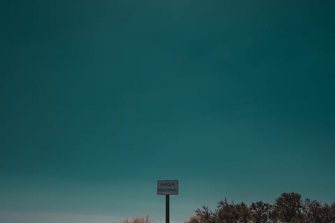 signe, tipografia, text, composició, espai blanc, cap gent, a l'aire lliure, verd, humor, escènic, colorit, Parc Nacional, cel, plantes, comunicació, senyal de trànsit, naturalesa, vista d’angle baix, còpia espai, signe d'informació, informació, orientació, dia, senyal direccional, tranquil·litat, arbre, blau, símbol de fletxa, direcció, una direcció, 5K, CC0, domini públic, lliure de regalies