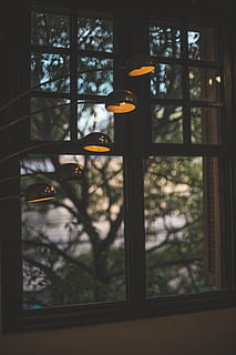 ışıklı, ışıklar, pencere, gün ışığı, dizayn, bardak, cam eşyalar, cam pencere, cam pencereler, ev, ev içi, içeriye, içeride, iç, iç dizayn, lambalar, oda, ağaçlar, duvar, cam malzemesi, şeffaf, ağaç, insansız, aydınlatılmış, aydınlatma ekipmanı, bitki, ön plana odaklanmak, kapatmak, asılı, gün, doğa, dekorasyon, ışık, kolye ışık, elektrik lambası, pencere çerçevesi, 5K, CC0, kamu malı, telif ücretsiz