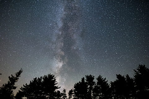 lăptos, cale, digital, tapet, astronomie, constelaţie, întuneric, seară, galaxie, HD wallpaper, peisaj, foc mic, calea Lactee, noapte, orion, cer, înstelat, cer înstelat, stele, copaci, copac, spaţiu, stea - spațiu, plantă, scenice - natura, frumusețe în natură, vedere unghiulară joasă, siluetă, stea, natură, liniște, o scenă liniștită, nici o persoana, creştere, conifer, spațiu și astronomie, 5K, CC0, domeniu public, fără drepturi de autor