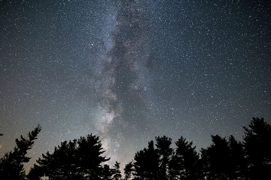 mléčný, způsob, digitální, tapeta na zeď, astronomie, souhvězdí, temný, večer, galaxie, tapeta galaxie, hd tapetu, krajina, nízký úhel záběru, mléčná dráha, noc, orion, nebe, hvězdnatý, Hvězdná obloha, hvězd, stromy, strom, prostor, hvězda - prostor, rostlina, scenics - příroda, krása v přírodě, nízký úhel pohledu, silueta, hvězda, Příroda, klid, klidné scény, nikdo, hvězdné pole, růst, jehličnatého stromu, prostor a astronomie, 5K