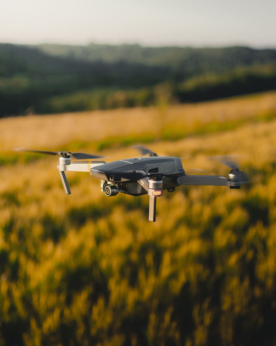 drone gri, vehiculul aerian, mijloc de transport, transport, zbor, mişcare, la mijlocul-aer, trântor, avion, natură, în mișcare, nici o persoana, zi, să se concentreze asupra primelor elemente, copac, cer, plantă, militar, Securitate, supraveghere, în aer liber, Industrie aerospatiala, guvern, 4K