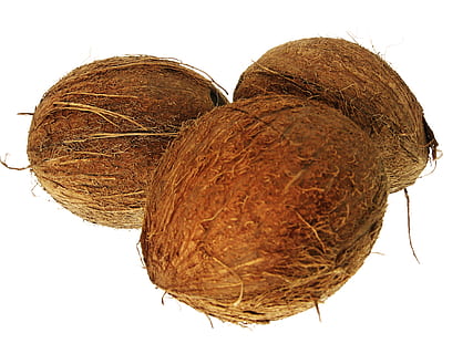 kokosnød, kokosnødder, coco, cocos, cocoz, hvid, frugt, baggrund, træ, tæt på, isolerede, vegetarisk, behåret, naturlig, sjovt, lækker, tropisk, kost, Brun, blad, subtropisk, objekt, velsmagende, sund og rask, vitamin, plante, trope, mad, nød, hvid baggrund, studio skud, sund kost, skåret ud, mad og drikke, indendørs, stilleben, ingen mennesker, natur, enkelt objekt, tør, velvære, hø, landbrug, 1080P, CC0, offentligt domæne, royaltyfrie