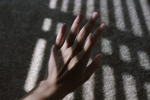 left human hand, hand, finger, nail, manicure, human hand, human body part, one person, body part, close-up, human finger, shadow, focus on foreground, day, indoors, nature, personal perspective, adult, fragility, women, selective focus, 2K, CC0, public domain, royalty free