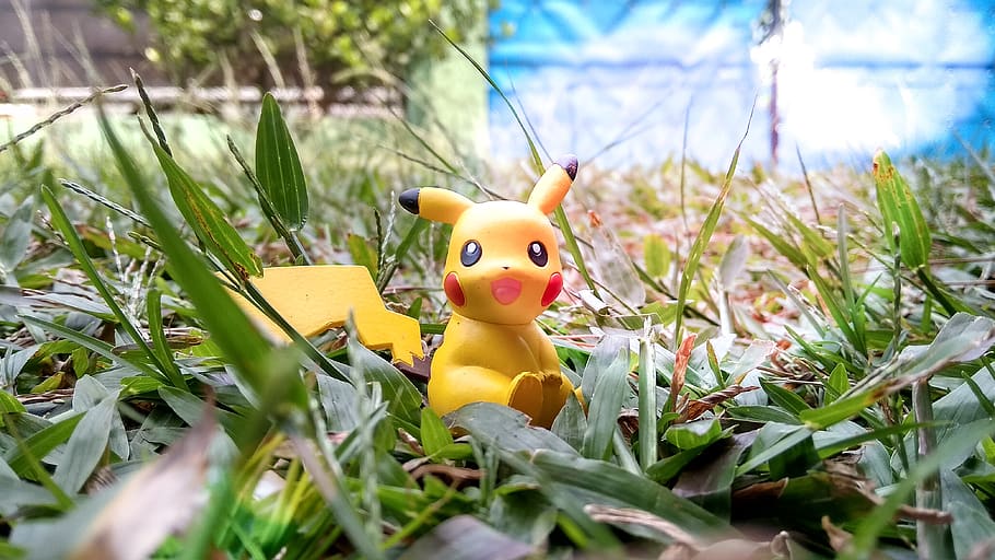 miniatura, pikachu, pokemon, personatge, pasatemps, joguines, divertit, representació, joguina, groc, representació humana, naturalesa, cap gent, creativitat, art i artesania, planta, herba, enfocament selectiu, dia, primer pla, ànec de goma, figureta, a l'aire lliure, Pasqua, color verd, terra, 4K