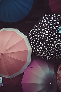 Japón, paraguas, colores, modelo, clima, lluvia, proteccion, nadie, multi color, naturaleza muerta, de cerca, adentro, día, seguridad, Arte y artesanía, decoración, diseño, gran grupo de objetos, color rosa, vista de alto ángulo, forma, fotograma completo, 5K, CC0, dominio público, libre de derechos