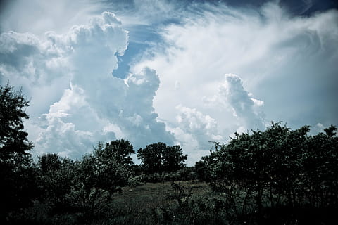 Wolken, stumm geschaltet, Stille, Blau, Baum, wolke - himmel, Himmel, Pflanze, Schönheit in der Natur, Ruhe, Szenen - Natur, Wachstum, ruhige Szene, keine Leute, Tag, Natur, Flachwinkelansicht, Nicht-städtische Szene, draußen, Land, Wald, Silhouette, grüne Farbe, Landschaft, 5K, CC0, gemeinfrei, lizenzfrei