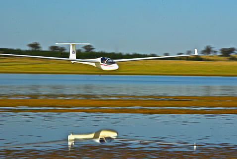 Segelflugzeug, Reflexion, See, gleiten, Tier, Tierthemen, Wasser, Vogel, Wirbeltier, Tiere in freier Wildbahn, Tierwelt, Tag, Sport, keine Leute, Natur, Ufergegend, Bewegung, fliegend, Pflanze, draußen, Gras, ein Tier, auf dem Wasser schwimmen, 2K, CC0, gemeinfrei, lizenzfrei