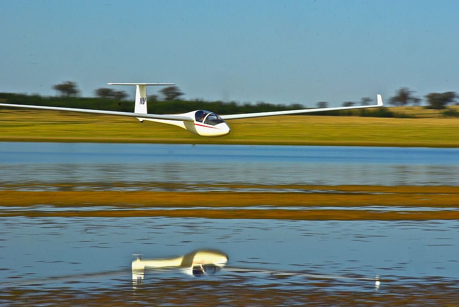 Segelflugzeug, Reflexion, See, gleiten, Tier, Tierthemen, Wasser, Vogel, Wirbeltier, Tiere in freier Wildbahn, Tierwelt, Tag, Sport, keine Leute, Natur, Ufergegend, Bewegung, fliegend, Pflanze, draußen, Gras, ein Tier, auf dem Wasser schwimmen, 2K