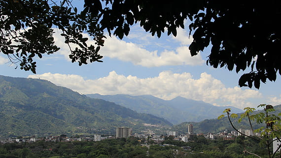 ibague, arbre, muntanya, cel, planta, núvol - cel, naturalesa, Serra, cap gent, arquitectura, bellesa a la natura, escenics - natura, estructura construïda, exterior de l'edifici, dia, tranquil·litat, branca, paisatge, a l'aire lliure, creixement, escena tranquil·la, paisatge urbà, 5K, CC0, domini públic, lliure de regalies
