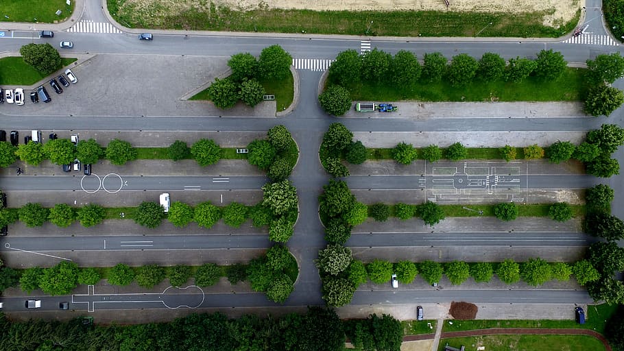aèria, vista, verd, arbres, planta, cotxe, aparcament, molt, carretera, transport, dia, naturalesa, cap gent, creixement, color verd, arquitectura, arbre, a l'aire lliure, vista d’angle alt, agricultura, en fila, aigua, estructura construïda, marc complet, costat a costat, full, camp, part de la planta, cobertura, plantació, 4K