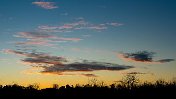stati Uniti, Lexington, nube, Cloudscape, paesaggio, estate, luce del sole, cielo, tramonto, nuvola - cielo, albero, silhouette, bellezza nella natura, scenics - natura, la tranquillità, scena tranquilla, pianta, natura, nessuno, crescita, scena non urbana, idilliaco, colore arancione, Inquadratura dal basso, terra, all'aperto, 5K, CC0, dominio pubblico, privo di copyright