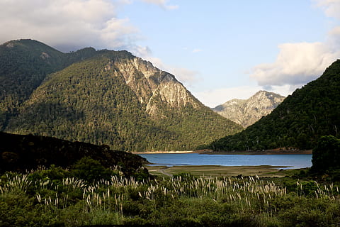 chile, Conguillio, volcan, vulcano, montagna, acqua, bellezza nella natura, scenics - natura, cielo, scena tranquilla, la tranquillità, pianta, natura, nuvola - cielo, nessuno, paesaggio, lago, catena montuosa, scena non urbana, giorno, ambiente, idilliaco, all'aperto, picco di montagna, gamma, 5K, CC0, dominio pubblico, privo di copyright
