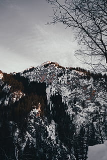 vista de la montaña, árbol desnudo, frío, amanecer, luz, ambiente, bosque, escarchado, Alemania, paisaje, montaña, Munich, naturaleza, al aire libre, escénico, temporada, nieve, Nevado, viaje, arboles, clima, invierno, paisaje de invierno, árbol, belleza en la naturaleza, temperatura fría, nadie, paisajes - naturaleza, agua, tranquilidad, planta, cielo, escena tranquila, rock, día, tierra, formación, Montaña cubierta de nieve, 4K, CC0, dominio público, libre de derechos