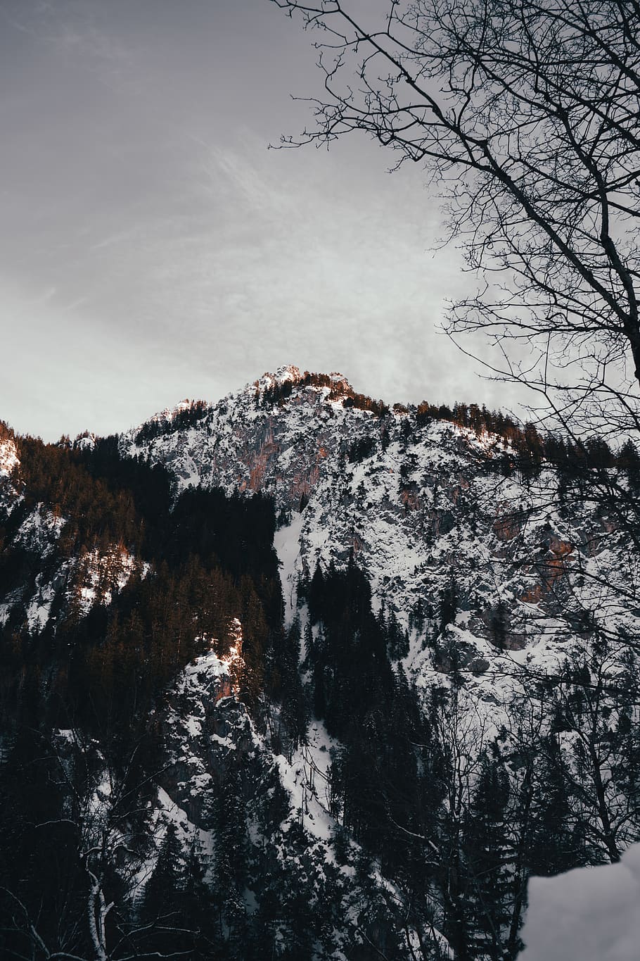 vista de la muntanya, arbre nu, fred, alba, la llum del dia, medi ambient, bosc, gelada, Alemanya, paisatge, muntanya, munich, naturalesa, a l'aire lliure, escènic, temporada, neu, nevat, viatjar, arbres, temps, hivern, paisatge d'hivern, arbre, bellesa a la natura, temperatura de fred, cap gent, escenics - natura, aigua, tranquil·litat, planta, cel, escena tranquil·la, rock, dia, terra, formació, muntanya nevada, 4K