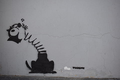 serbia, belgrade, wall - building feature, animal representation, representation, creativity, animal, no people, art and craft, animal themes, indoors, black color, mammal, animal body part, white color, dinosaur, paint, architecture, graffiti, extinct, ink, craft, 5K, CC0, public domain, royalty free