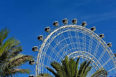 diversió, arquitectura, atracció, roda gran, gent de negocis, cercle, món Disney, ferris, focs artificials, festa, hotels, joia, orlando al centre de la ciutat, a l'aire lliure, centres turístics, rodó, cel, primavera, estiu, parcs temàtics, turisme, viatjar, vacances, roda, cultura i entreteniment artístic, arbre, passeig pel parc d’atraccions, blau, vista d’angle baix, cap gent, Parc d'atraccions, clima tropical, naturalesa, roda de ferris, Palmera, cel clar, planta, destinacions de viatge, dia, estructura construïda, forma geomètrica, luxe, 5K, CC0, domini públic, lliure de regalies