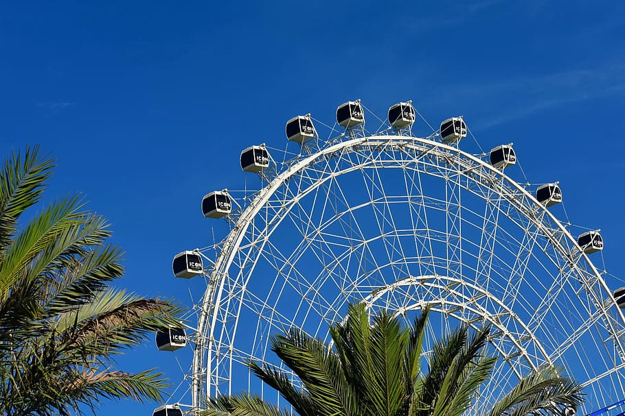 divertimento, architettura, attrazione, grande ruota, uomini d'affari, cerchio, Disney World, Ferris, fuochi d'artificio, vacanza, alberghi, gioia, orlando in centro, all'aperto, stazioni, il giro, cielo, primavera, estate, parchi tematici, turismo, viaggio, ruota, cultura artistica e intrattenimento, albero, giro del parco dei divertimenti, blu, Inquadratura dal basso, nessuno, Parco divertimenti, clima tropicale, natura, ruota panoramica, Palma, cielo sereno, pianta, destinazioni di viaggio, giorno, struttura costruita, forma geometrica, lusso, 5K