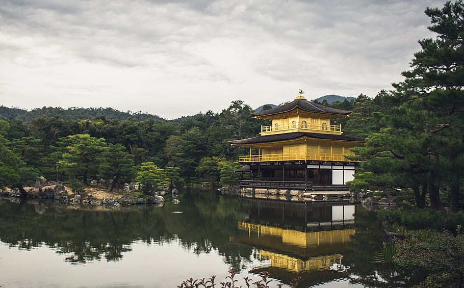 Japó, arbres, bosc, llac, or, vell, antic, temple, kyoto, cel, castell, daurat, pavelló, arbre, planta, estructura construïda, arquitectura, reflexió, aigua, exterior de l'edifici, religió, creença, lloc de culte, espiritualitat, naturalesa, edifici, cap gent, davant del mar, a l'aire lliure, santuari, 4K