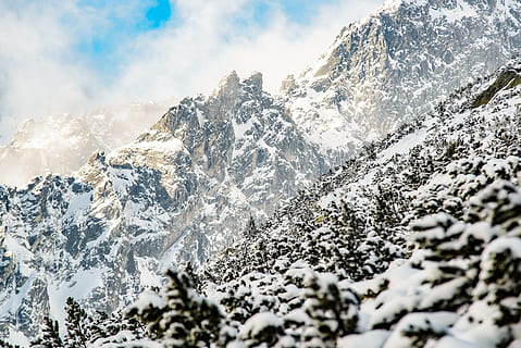 stromy, pokryté, sníh, vysoký, zimní, hora, tatra mountain, studená teplota, krása v přírodě, zasněžené hory, mrak - nebe, scenics - příroda, nebe, bílá barva, Příroda, klid, den, nikdo, pohoří, strom, klidné scény, rostlina, životní prostředí, venku, extrémní počasí, horský vrchol, formace, jehličnatého stromu, 4K, CC0, veřejná doména, bez autorských práv