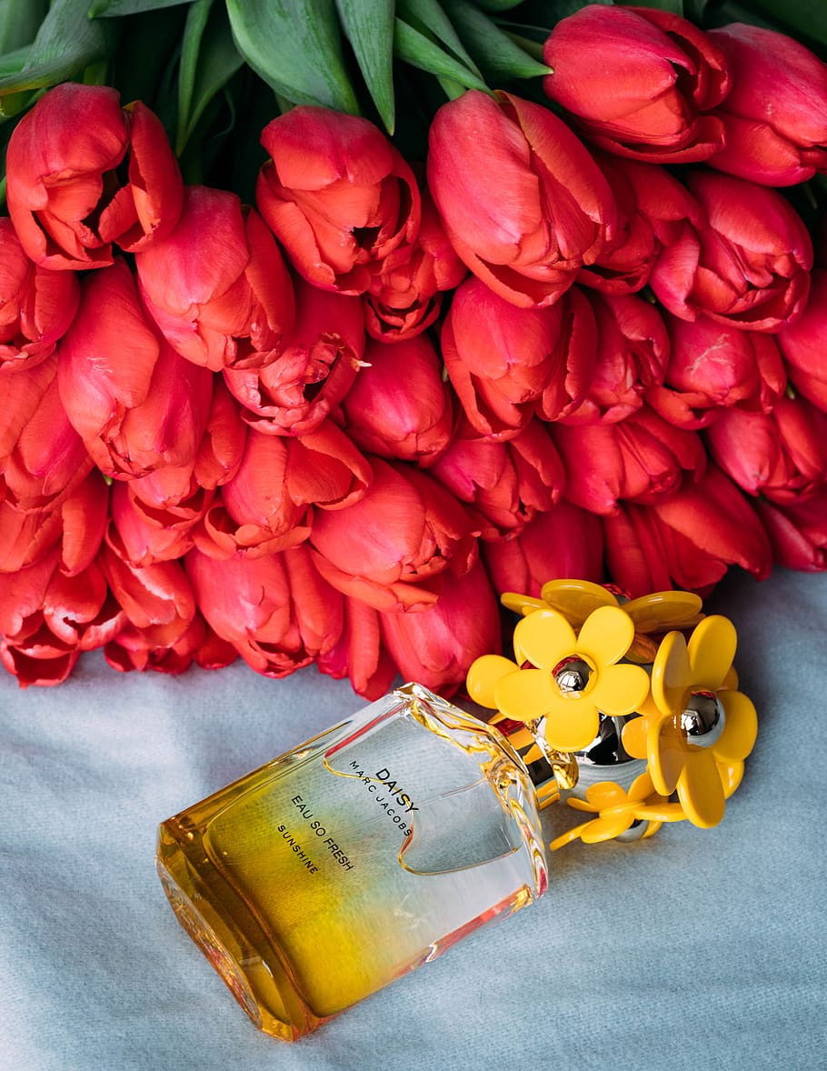Červené, tulipány, parfémy láhev, aroma, Krásná, květ, kvetoucí, delikátní, flóra, květiny, vůně, vonný, parfém, okvětní lístky, červené tulipány, kvetoucí rostlina, krása v přírodě, rostlina, svěžest, okvětní lístek, žlutá, zranitelnost, detail, křehkost, uvnitř, růže, květu hlavy, růže květina, květenství, nikdo, Příroda, vysoký úhel pohledu, stálý život, aranžování květin, kytice, 5K