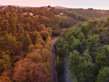 auto na silnici, Příroda, scenérie, venku, krajina, silnice, vegetace, rostlina, strom, panoramatický, letecký pohled, Řecko, anatoliki attiki, epar.od. marathon-kapandritiou, les, přistát, Dálnice, způsob, jedle, abies, scenics - příroda, krása v přírodě, růst, klidné scény, klid, vysoký úhel pohledu, životní prostředí, den, nikdo, idylický, hora, podzim, mimoměstské scény, změna, 4K, CC0, veřejná doména, bez autorských práv