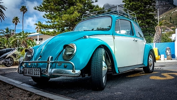 auto, brouk, palmy, silnice, volkswagen, vozidlo, automobilového průmyslu, vw, klasický, oldtimer, nostalgie, starý, způsob dopravy, přeprava, pozemního vozidla, motorové vozidlo, retro stylu, Historické auto, strom, modrý, den, stacionární, rostlina, nikdo, Příroda, cestovat, město, vinobraní, luxus, tyrkysové barvy, 4K, CC0, veřejná doména, bez autorských práv